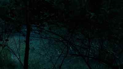 Hey, buddy. Come on. - The Condemned