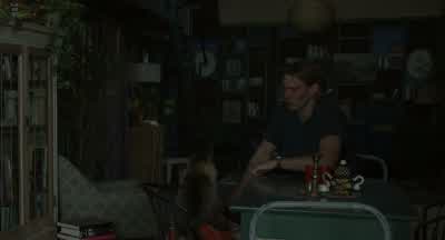 Hey, Buddy. - Caught Stealing