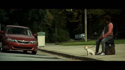 Hey, buddy. - Due Date