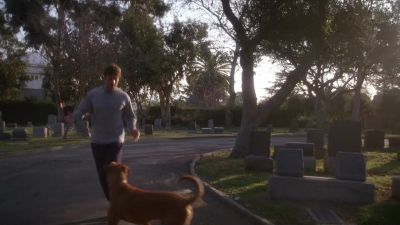 HEY, BUDDY. - Six Feet Under