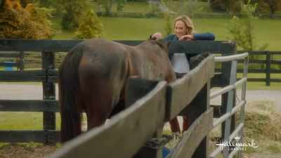 Hey, Buttercup.
Oh, you pretty thing. - Taking the Reins