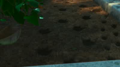 Hey, Buzz! - Toy Story 2