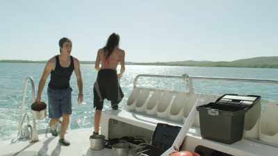 Hey, Cait,
you want to give me a hand? - 5 Headed Shark Attack