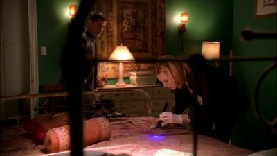 Hey, Catherine,
I'll get that. - CSI: Crime Scene Investigation