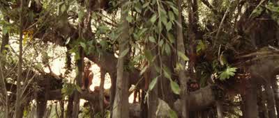 Hey! Climb down, Lucas. - Lucas... - The Impossible