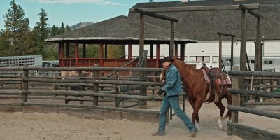 Hey. Come on. Come on. - Yellowstone