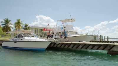 Hey, come on, let's go!
We got a fish to catch. - 5 Headed Shark Attack