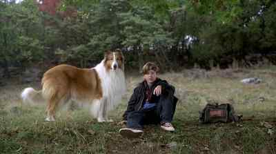 Hey, come on, quit it. - Lassie