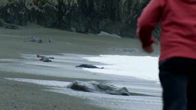 hey-come-on - The Crossing