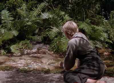 Hey, Coon. Them's mighty pretty
little fellas you got. - The Yearling
