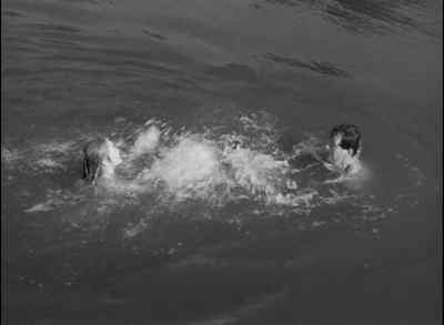 Hey, cut it out. - Revenge of the Creature