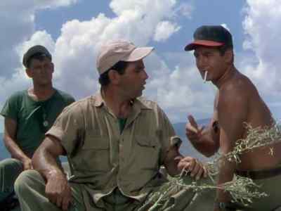 Hey,
cut that out! - Destination Gobi