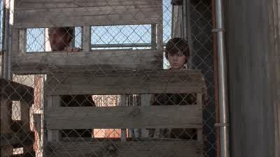 Hey, Dad? - The Walking Dead
