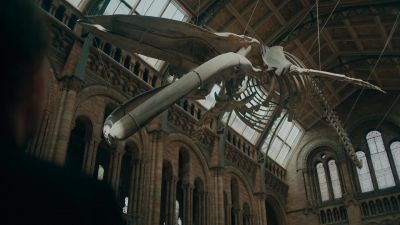 Dad? - The Essex Serpent