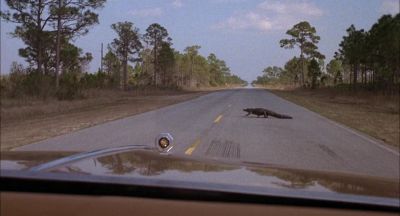 Hey Daddy look at that big ugly alligator - Smokey and the Bandit II