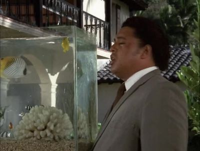 HEY, DANNY, LOOK AT THIS. - Hawaii Five-0