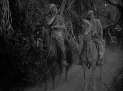 Hey, did you bring Guidon? - Red Dust