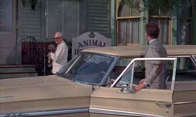 HEY, DOC ?
HMM ? - The Ugly Dachshund