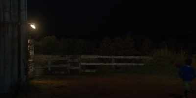 Hey, doggie, wait! Come back. - The Way Home