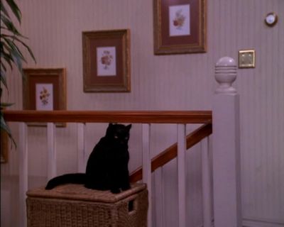 Hey dogs guard - Sabrina, the Teenage Witch