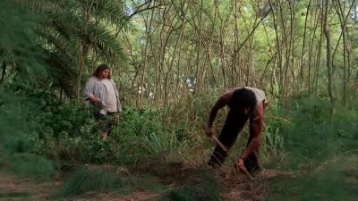 Hey, dude. - Lost