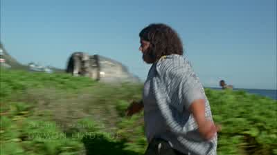 Hey, dude, they're back. - Lost
