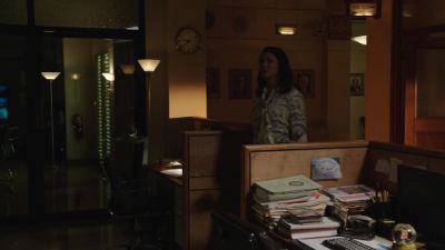 Hey, Erin, I'm so sorry. - Blue Bloods