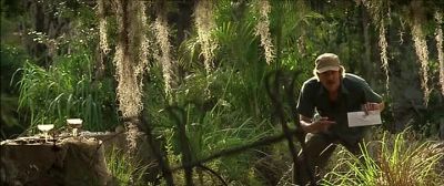 Hey Finn - Great Expectations