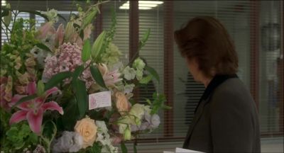 Hey get your hands off my stems - Picture Perfect