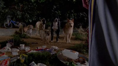 Hey, get lost.
Get out of here. - Malcolm in the Middle