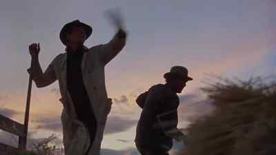 Hey, get off of there! - Days of Heaven