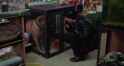 Hey, gimme a kiss. - Rocky