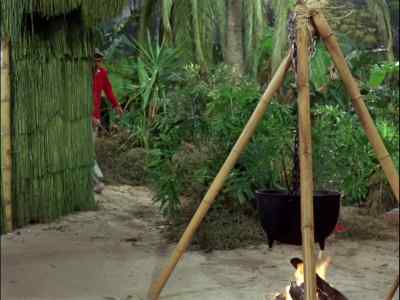 HEY, GINGER? MARY ANN? - Gilligan's Island