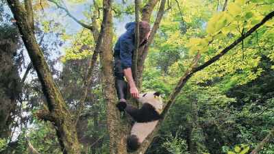 Hey. Good job. You're a good climber. - Pandas