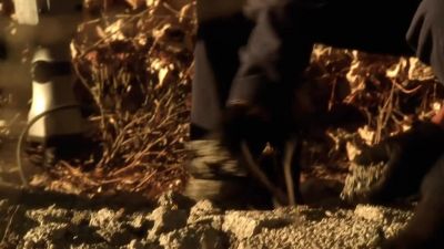 Hey, Grissom. - CSI: Crime Scene Investigation