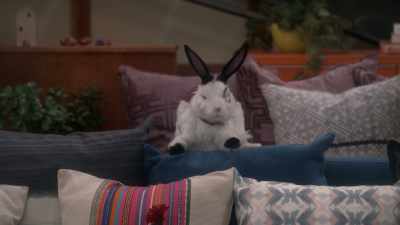 Hey, guys, it's your old
camp counselor, - The Thundermans Return