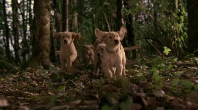 Hey guys should we stop for lunch - Air Buddies