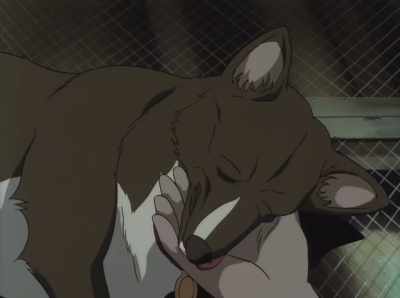 Hey, hang in there. Where's Ed? - Cowboy Bebop