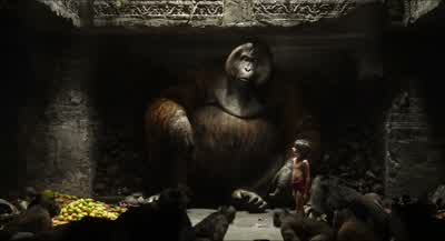 Hey hang onCan you just hang onI climbed a mountain to see you and I'm not a climberJust to be in your presenceFor me this is a dream come true OhThrow him off the cliff - The Jungle Book