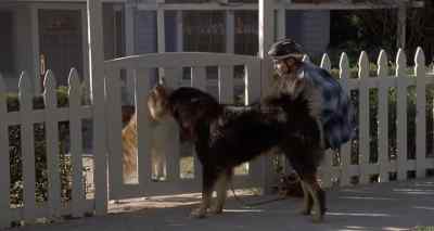 Hey, Heidi, say hello to Max. - Man's Best Friend