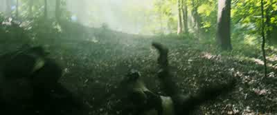 Hey! Help! Help! Help! Help! - The Maze Runner