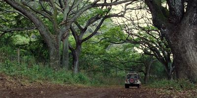 - Hey.
- Help. - Jurassic World