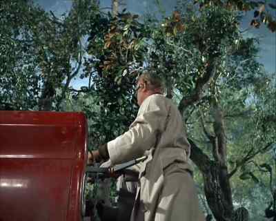 Hey, here's
some big ones. - Land of the Giants