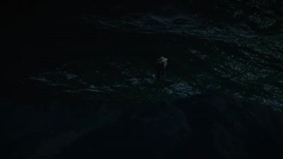 Hey! Hey, don't,
don't, don't! - NCIS: Hawai'i