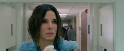 Hey! Hey! Hey, security! Watch out. Help. I need help! No, get back! -Calm down. Please calm down. - - Bird Box