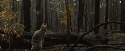 Hey Hey King watch this - Where the Wild Things Are