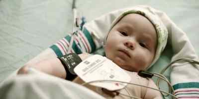 - Hey.
- Hey. - Transplant