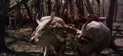 Hey! Hey! - The Bible: In the Beginning