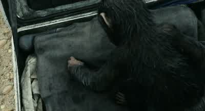 Hey! Hey! Hey, get out of there! - Dawn of the Planet of the Apes