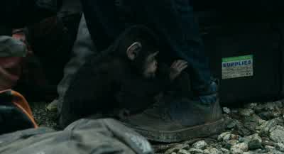 Hey... hey... - Dawn of the Planet of the Apes